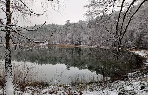 Smocze Ranczo - Foto 78