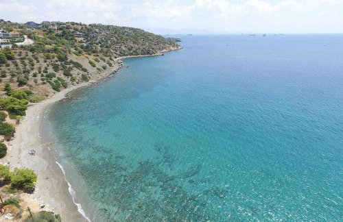 MNS Marvelous Nirvana Seascape, Creativity - Foto 39