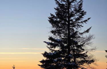 L'Epicéa - Logement Nature - Foto 15