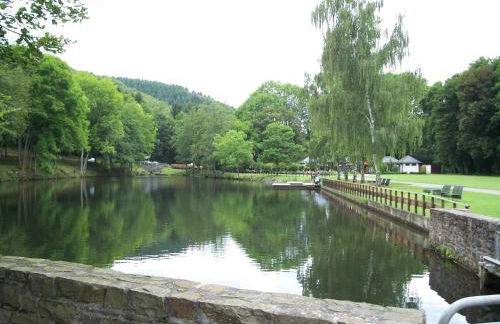 FeWo Algenrodt - Foto 37