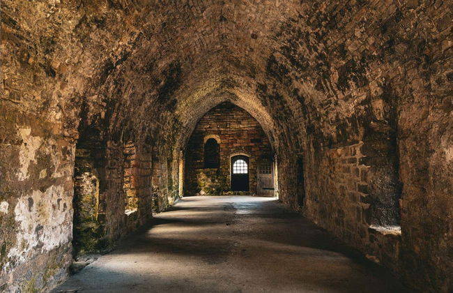 Paseo en barco por los puentes del Forth + Abadía de Inchcolm - Foto 10
