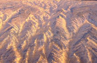 La casa de la masia - La masia - Foto 15