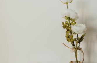 La Villetta S Blotzheim - Appartement de Standing - Foto 21