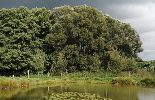 Smocze Ranczo - Foto 52