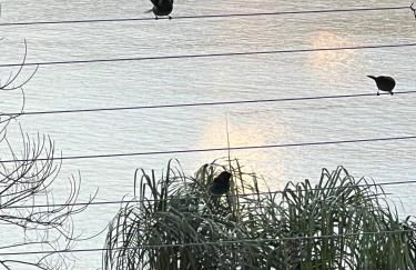 Casa 3 Suítes com Vista para o Mar - Praia Barra do Sahy - Foto 74