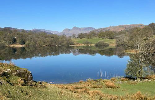 Puddleduck - Foto 27