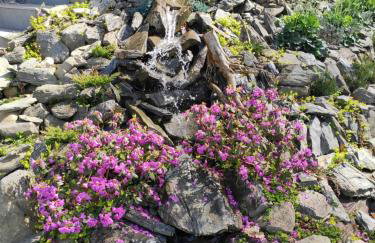 Kwietna łąka na szlaku - Foto 47