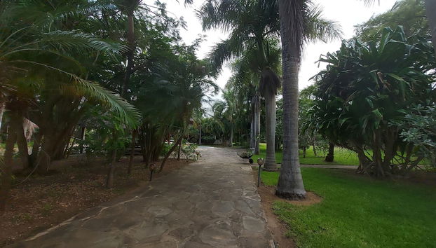 Red Lion - Foto 2, Habitación