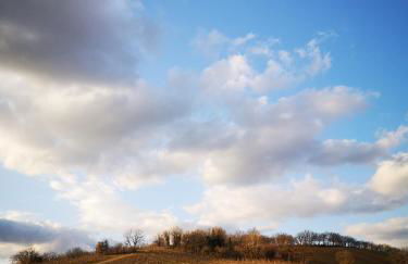 Da Foschetta - Foto 12