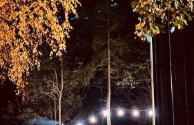 Pod Wawrzką - Photo 27