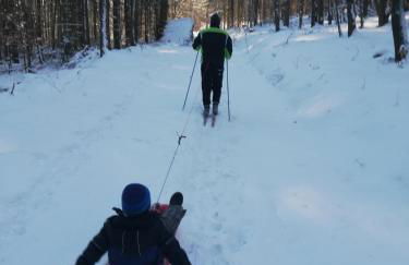 Haus Kellerwald - Ferienwohnung Kellerwald-Edersee - Foto 20