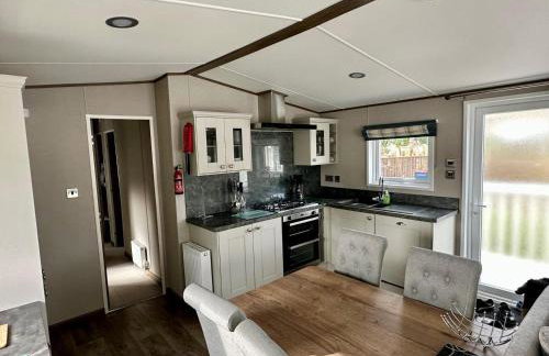 Davies Caravans on Oakdene Forest Park 3 bedroom holiday lodge home - entertainment passes included - Foto 11