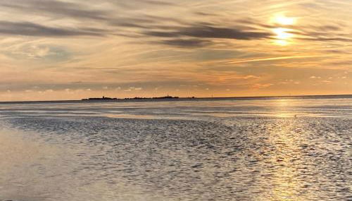 Küstenjunge "Ebbe" - Foto 5