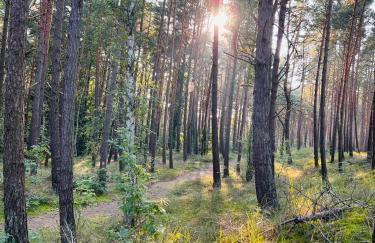 Domki Apartamentowe Orłówka - Photo 20