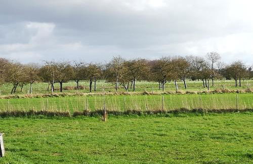 Charming Countryside Chalet - Foto 19