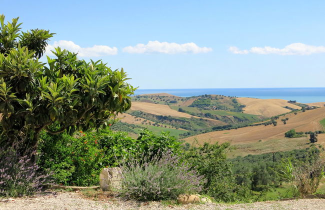 Intensivo-Elegante - Foto 24