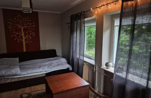 Bliss Garden Retreat House ZielonoMi - Foto 40