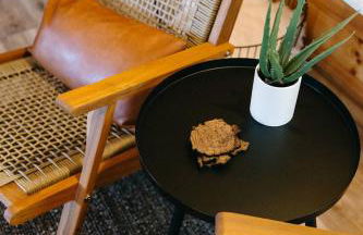 "Cozy Dumplin" - Warm & Modern Stay in RRG/Auxier - Foto 11