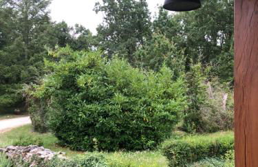 Calme et tranquillité - Foto 6