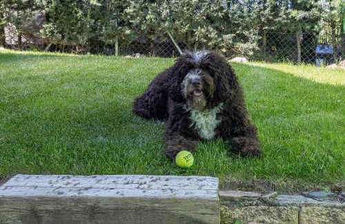 La Casa De Trasto - Foto 31