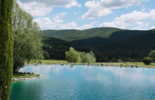 Domaine de la barbeirasse - Foto 51