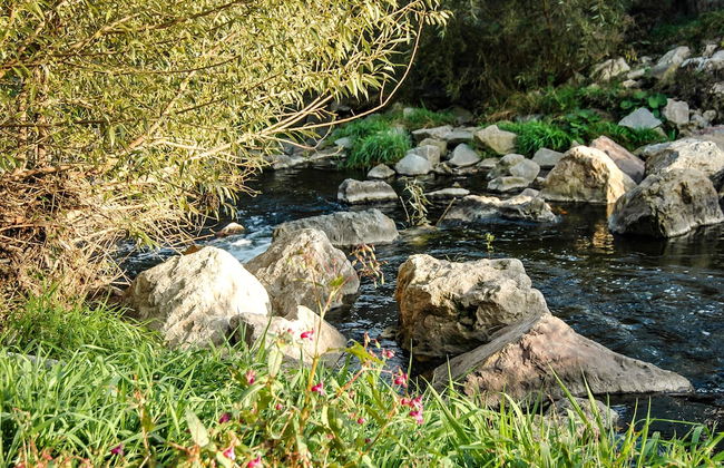 Villa Marie- Self-Catering - Foto 33