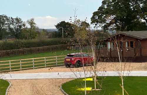 The Lodge - Photo 61