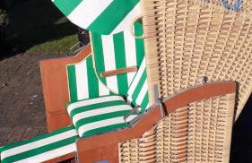 Seepferdchen - Foto 5