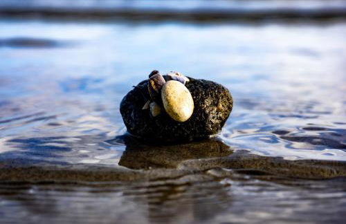 Fjordstuga - Foto 25