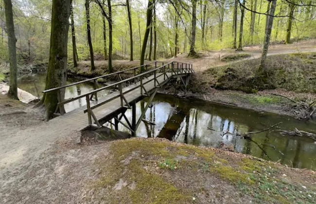 6 Person Holiday Home in Frederikshavn-by Traum - Foto 44