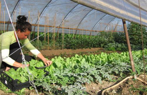 Agriturismo Le Noci - Foto 17