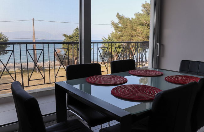 Punda 4 Seasons - Foto 18