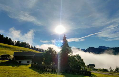 Chi Plans - Photo 36