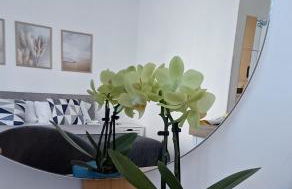 Zefiro Ostia - Foto 6