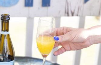 Lakeland Breeze - Photo 30