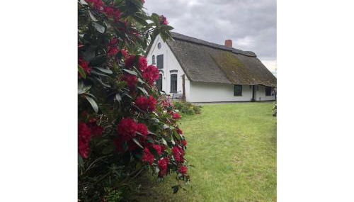 Holiday home with 2 bedrooms - Foto 2, Other