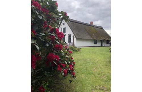 Holiday home with 2 bedrooms - Foto 2