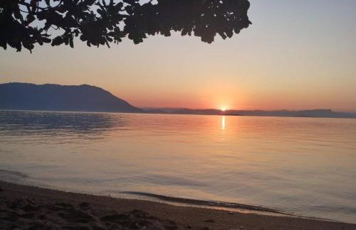 100mts beach Ribeirão da Ilha c Espaço Gourmet - Foto 6