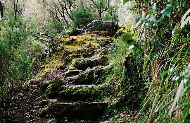 Madeira Lagos e Fontes Rabacal - Foto 10