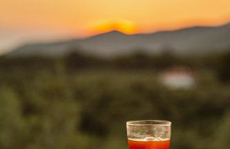 Villa 10 Elies - Photo 22