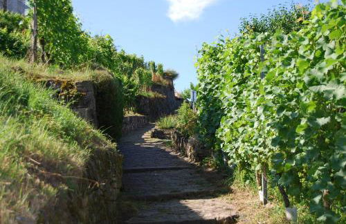 "Unter der Yburg" in 71394 Kernen - Stetten - Foto 15