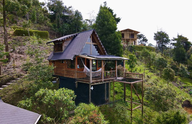 Skyline Ecoliving - Foto 54