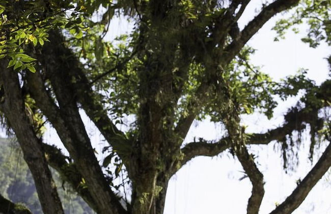 Hotel Fazenda Pommernland - Photo 56