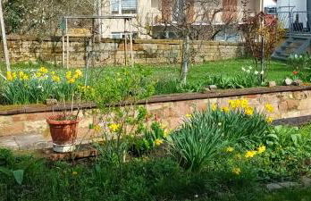 Ferienhaus - Kern - Foto 73