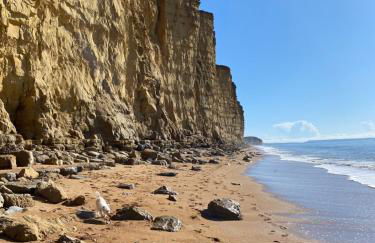 Cosy cottage in Bridport centre - Photo 68
