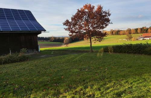 Ferienwohnung am Metzgerhof - Foto 34