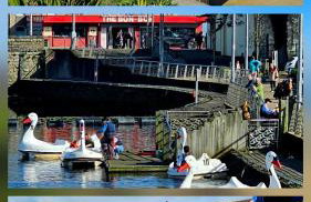 Red Robin Cottage - Photo 27