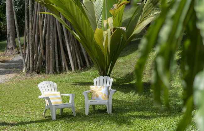 mist at Cape Tribulation - Foto 14