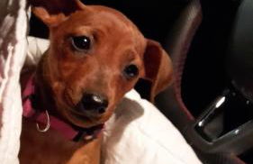 Villa Charlotte - Foto 22