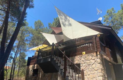 EL BOSQUE ENCANTADO - Photo 4